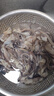 美加佳 冷凍魷魚(yú)須1斤*2袋 火鍋燒烤食材 鐵板魷魚(yú) 燒烤食材  曬單實(shí)拍圖