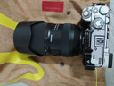 騰龍（Tamron）A065S 70-180mm F/2.8 Di III VC VXD G2二代防抖大光圈長(cháng)焦變焦全畫(huà)幅微單鏡頭(索尼全幅E口) 曬單實(shí)拍圖