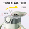 ANDYBABY吸管奶瓶一歲以上3-6歲寶寶ppsu2喝奶喝水直飲杯吸管杯兒童學(xué)飲杯 【直飲款】綠色 330ml 直飲嘴*2+直管+背帶 曬單實(shí)拍圖
