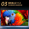 康佳電視 65E9G PRO-S 65英寸 288HzMEMC高刷護眼 3+64G 4K超清全面屏 智能平板電視 一級能效國家補貼 曬單實(shí)拍圖