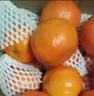 四川紅橘大紅袍橘子新鮮水果內江川紅橘陳皮原料鮮果老樹(shù)紅橘包郵 帶箱甄選5斤 曬單實(shí)拍圖