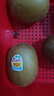 佳沛（zespri）新西蘭 陽(yáng)光金奇異果12粒禮盒特大果單果約122-146g 獼猴桃 水果 曬單實(shí)拍圖