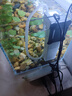 YEE超白魚(yú)缸桌面客廳生態(tài)斗金魚(yú)烏龜缸造景小型水草養魚(yú)玻璃裸缸40cm 曬單實(shí)拍圖