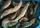 鮮京采 厄瓜多爾白蝦 凈重3斤/盒 特大號20-30規格   30-45只/盒 曬單實(shí)拍圖