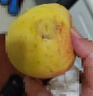 隴百味蘋果新鮮現(xiàn)摘 山西運(yùn)城紅富士脆甜 當(dāng)季應(yīng)季時(shí)令水果整箱產(chǎn)地直發(fā) 凈重4.5斤單果70mm+ 曬單實(shí)拍圖