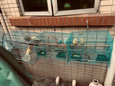絲飄大包抽紙加厚餐巾紙家用大號面巾紙母嬰用紙整箱批發(fā) 加大加厚 5層 420張*18包 曬單實(shí)拍圖