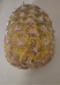 佳農 黑鉆菠蘿1粒裝 巨無(wú)霸 菲律賓鳳梨 凈重3.6斤 生鮮水果 包郵 曬單實(shí)拍圖