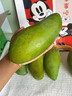 味果生大青芒新鮮水果當季熱帶甜心芒果青皮金煌大芒果現摘整箱 9斤 優(yōu)選大果【單果300-400g】 曬單實(shí)拍圖