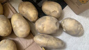 天萊香牛有機健康牛腿肉500g可溯源低溫排酸生鮮牛肉新疆清真【真原切】 曬單實(shí)拍圖