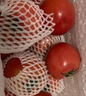 京鮮生 山東鐵皮草莓西紅柿 凈重4.5斤 單果60-150g水果番茄源頭直發(fā) 曬單實(shí)拍圖