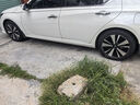 朝陽輪胎 汽車輪胎 215/55R17 94V C66 適配起亞K4/名圖 曬單實拍圖