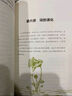 給青年的十二封信（八年級下冊閱讀推薦_首度收錄朱光潛大事記。和朱光潛談職業(yè)選擇 人際交往） 文學(xué) 小說(shuō) 雙11大促 曬單實(shí)拍圖