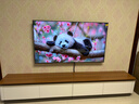 津贏(yíng) 電視掛架固定壁掛架電視支架小米海信創(chuàng  )維索尼樂(lè )視康佳TCL海爾華為智慧屏液晶壁掛架40-75英寸 曬單實(shí)拍圖