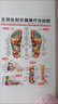 足底按摩穴位圖足部反射區掛圖腳底針灸點(diǎn)穴經(jīng)絡(luò )掛圖棒筆書(shū)人體 足部掛圖 曬單實(shí)拍圖