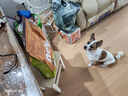 NOW FRESH無(wú)谷小型犬四葉草顆粒全犬幼犬狗糧 12磅/5.44kg 淚痕管理 曬單實(shí)拍圖
