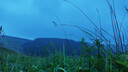 伯希和（Pelliot）戶(hù)外坐墊野餐防潮墊蛋巢折疊地墊露營(yíng)帳篷午休屁墊16102811棕 曬單實(shí)拍圖