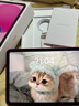 Apple/蘋(píng)果 iPad11英寸 A16芯片2025年款 平板電腦 (128GB WLAN版/學(xué)習辦公娛樂(lè ))粉色 曬單實(shí)拍圖