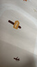 丸丫寶寶爬行墊嬰兒加厚家用爬爬墊xpe兒童整體墊1.8*2.0米2.5CM-田園 曬單實(shí)拍圖