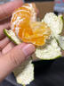 南步江西尋烏蜜桔 贛南特產(chǎn)青皮蜜橘酸甜口桔子薄皮無(wú)籽孕婦新鮮水果 凈重9斤 精選中果【約64個(gè)內】 曬單實(shí)拍圖