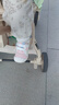 巴布豆寶寶學(xué)步鞋童鞋春秋防滑嬰幼兒機能鞋 藕粉色 22碼 曬單實(shí)拍圖