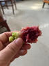 譽(yù)福園青州蜜桃新鮮桃子水果生鮮多汁孕婦蜜脆甜離核脆甜密桃【順豐】 中大果【順豐發(fā)貨】 3斤裝【10-14個(gè)】 曬單實(shí)拍圖
