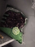 羅柯達營(yíng)養土養花通用專(zhuān)用營(yíng)養土通用種花家用盆栽花卉植物種植土壤10L 曬單實(shí)拍圖