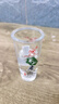 蘭益松蕎化香白酒云南特產(chǎn)42度小蕎酒口杯酒苦蕎白酒年貨送禮聚餐酒水 42度 45mL 12瓶 X2盒 【蕎花香】 曬單實(shí)拍圖