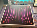 Apple蘋(píng)果平板電腦 ipadPro2024/2022/2021/2020款M4/M2高刷二手 ipadpro2022 128G 12.9寸 99新 WIFI版（顏色備注） 曬單實(shí)拍圖