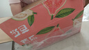 京鮮生 紅心珍珠芭樂 番石榴 凈重3斤 單果150g+ 生鮮水果中秋禮盒 曬單實(shí)拍圖