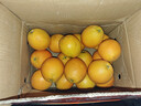 贛南臍橙 正宗贛南臍橙子禮盒【多地次日達】冰糖甜橙子新鮮水果禮盒禮品 9A精選果｜單果75-80mm【狠甜】 10斤裝【量大爽吃-蕞劃算】?jì)? 曬單實(shí)拍圖