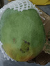 壹萌果蔬凱特芒芒果 當季現摘四川大芒果新鮮水果青芒果整箱送禮 5斤精品果【單果300g+】 凈4.5斤 曬單實(shí)拍圖