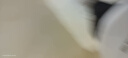 NASAWASSUP美式網(wǎng)眼速干短褲男夏季薄款男士沙灘褲寬松休閑籃球運動(dòng)五分褲 黑色-625LPH 2XL 【建議140斤-155斤】 曬單實(shí)拍圖