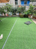 清雅仿真草坪地毯假草皮鋪墊塑料戶(hù)外人造球場(chǎng)人工圍擋幼兒園綠色地墊 2厘米全新升級15針特級特密質(zhì)保S級款 (1米寬1米長(cháng))1平方（最長(cháng)25m需要多長(cháng)拍幾件） 曬單實(shí)拍圖