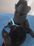 森海塞爾（SENNHEISER）MKE200 機(jī)頂麥?zhǔn)謾C(jī)相機(jī)收音麥克風(fēng)vlog定向拾音話筒 MKE200 曬單實(shí)拍圖