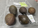 京鮮生秘魯進(jìn)口即食牛油果 超級巨無(wú)霸6粒裝單果200g起源頭直發(fā)一件包郵 曬單實(shí)拍圖