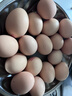 工廠(chǎng)專(zhuān)用河南新鮮現撿土雞蛋50g正負5g/枚紙箱早餐生鮮溏心蛋包郵 30枚 曬單實(shí)拍圖
