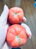 山東壽光普羅旺斯生吃西紅柿新鮮沙瓤自然熟水果番茄粉柿生鮮 沙瓢西紅柿 1g 3斤裝[粉果沙瓤] 曬單實(shí)拍圖