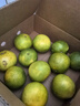 京鮮生 福建青皮翡翠葡萄柚 8斤裝 單果300g起 生鮮水果 源頭直發(fā) 包郵 曬單實(shí)拍圖