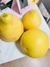 WOUYTWV福建平和 紅心柚子紅肉紅柚孕婦當季新鮮水果 拍2份合發(fā)一箱 現摘 現發(fā)  心選紅心柚 4.5斤裝 凈*重4.25斤- 2-3個(gè) 曬單實(shí)拍圖