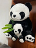 熊貓熊大熊貓毛絨玩具女孩熊貓玩偶娃娃公仔花花抱抱熊兒童畢業(yè)禮物男孩子布娃娃女生生日禮物女送女朋友同學(xué)陪睡覺(jué)抱枕仿真布偶小號創(chuàng  )意擺件30cm 曬單實(shí)拍圖