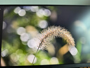 LG G8 27英寸4K顯示器 雙模4K180Hz/1K360Hz HDR400 HDMI2.1 FastIPS 高刷電腦顯示屏 27G810A 曬單實拍圖