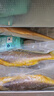 GUO LIAN國聯(lián)三去黃花魚(yú)2條共凈重2斤國產(chǎn)寧德東海大黃魚(yú)中秋聚餐海鮮食材 曬單實(shí)拍圖