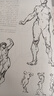 珍藏版《伯里曼》人體結(jié)構(gòu)教學人物速寫入門基礎(chǔ)繪畫臨摹書籍透視技法自學教程頭像美術(shù)藝術(shù)手繪教材全套正版   曬單實拍圖