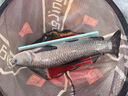 釣魚(yú)王子線(xiàn)雙鉤狼牙競技黑坑防纏繞全套綁好釣魚(yú)鉤仕掛 雙鉤9#線(xiàn)1.0-1.2 曬單實(shí)拍圖