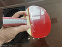 紅雙喜（DHS）乒乓球拍五星級直拍H5006反膠單拍附拍包+乒乓球 曬單實(shí)拍圖