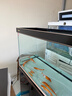 森森（SUNSUN）大型魚(yú)缸底過(guò)濾水族箱客廳家用落地玻璃生態(tài)金魚(yú)缸 【實(shí)時(shí)溫顯】1.2米長(cháng)42cm寬（黑白灰可選） 曬單實(shí)拍圖