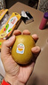 佳沛（zespri）新西蘭  陽(yáng)光金果18粒原箱單果重173-204g 獼猴桃 中秋水果禮盒 曬單實(shí)拍圖