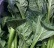 鹿凌青新鮮霜凍青菜苔 菜心白菜苔 甜糯嫩菜心 菜心綠色新鮮發(fā)順豐 5斤裝（泡沫箱） 曬單實(shí)拍圖