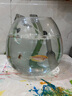 派樂(lè )特 蛋白棉魚(yú)缸過(guò)濾材料過(guò)濾棉高凈水過(guò)濾黃水 蛋白棉500g 曬單實(shí)拍圖
