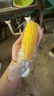 京鮮生東北黃糯玉米棒200g×8根 甜黏玉米 多種包裝隨機發(fā)貨 源頭直發(fā) 曬單實(shí)拍圖
